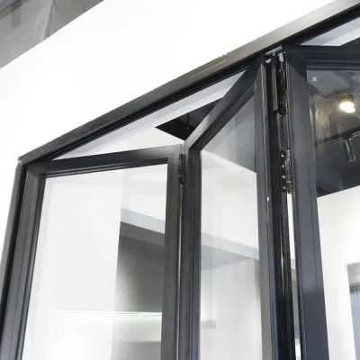 Sixinalu materiale da costruzione stile moderno impermeabili personalizzato Bivold Porte Windows Prezzo di fabbrica Profilo in alluminio balcone struttura in acciaio vetro porta pieghevole