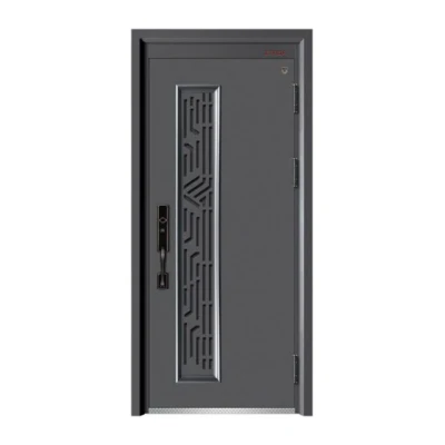  Porta di sicurezza frontale in metallo con intagliatura extra large in vendita a caldo