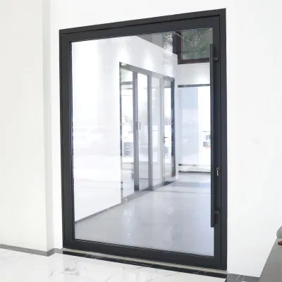 Sixinalu Profilo in alluminio materiale da costruzione Villa di lusso personalizzata esterno Sportello anteriore vetro ingresso ferro metallo sicurezza acciaio perno sportello