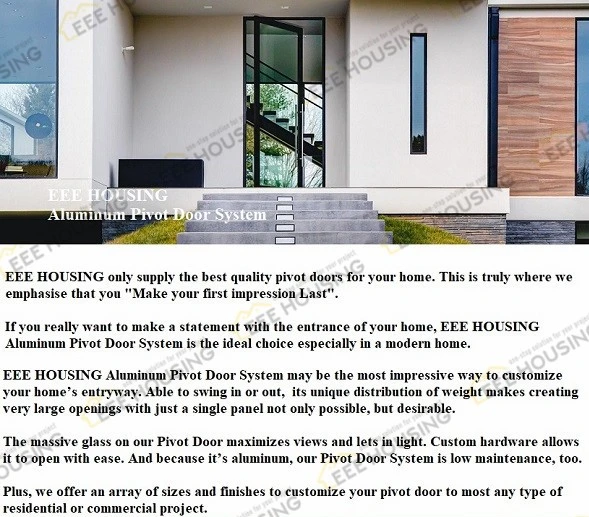 China Factory Direct Supply New Style Modern Entrance Pivot Front Door for Contemporary Entry House