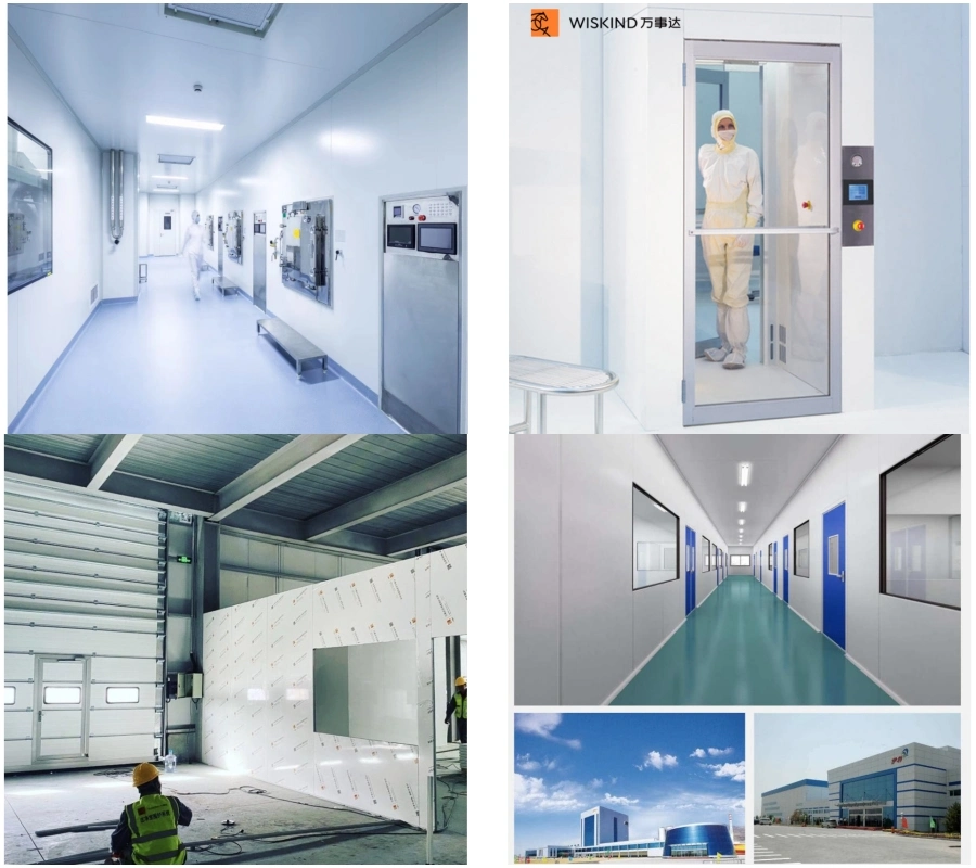 Industial Interior HPL Door for Vhp Resistant Disinfection with Different Types Windows