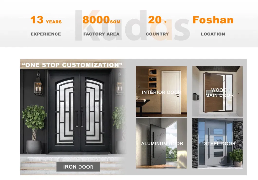 Security Exterior Main Entrance Stainless Steel Front Tempered Glass Pivot Doors