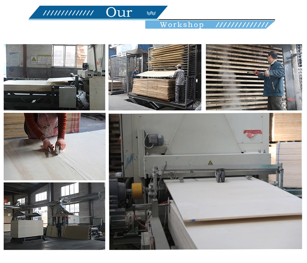 Best Quality Fancy Plywood Wood for Interior Doors &amp; Furniture Plywood in Cheap Price China Factory