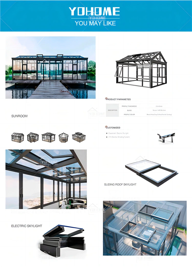 China Top Manufacturer Custom Big Sizes External Aluminium Bifold Doors Aluminum Folding Residential Doors External Aluminum Folding Door