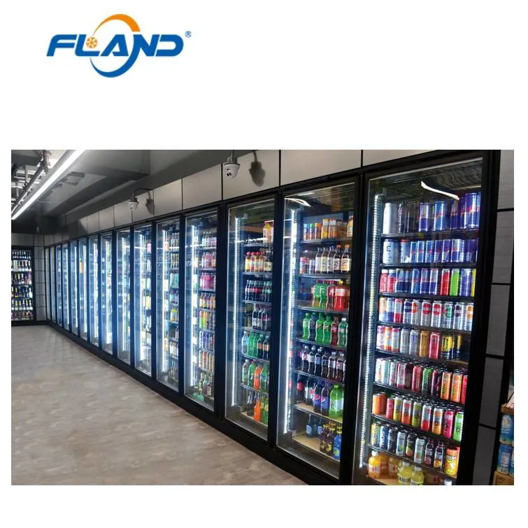 Supermarket &amp; Convenient Shop Walk in Cooler and Cold Room with Glass Door and Racks