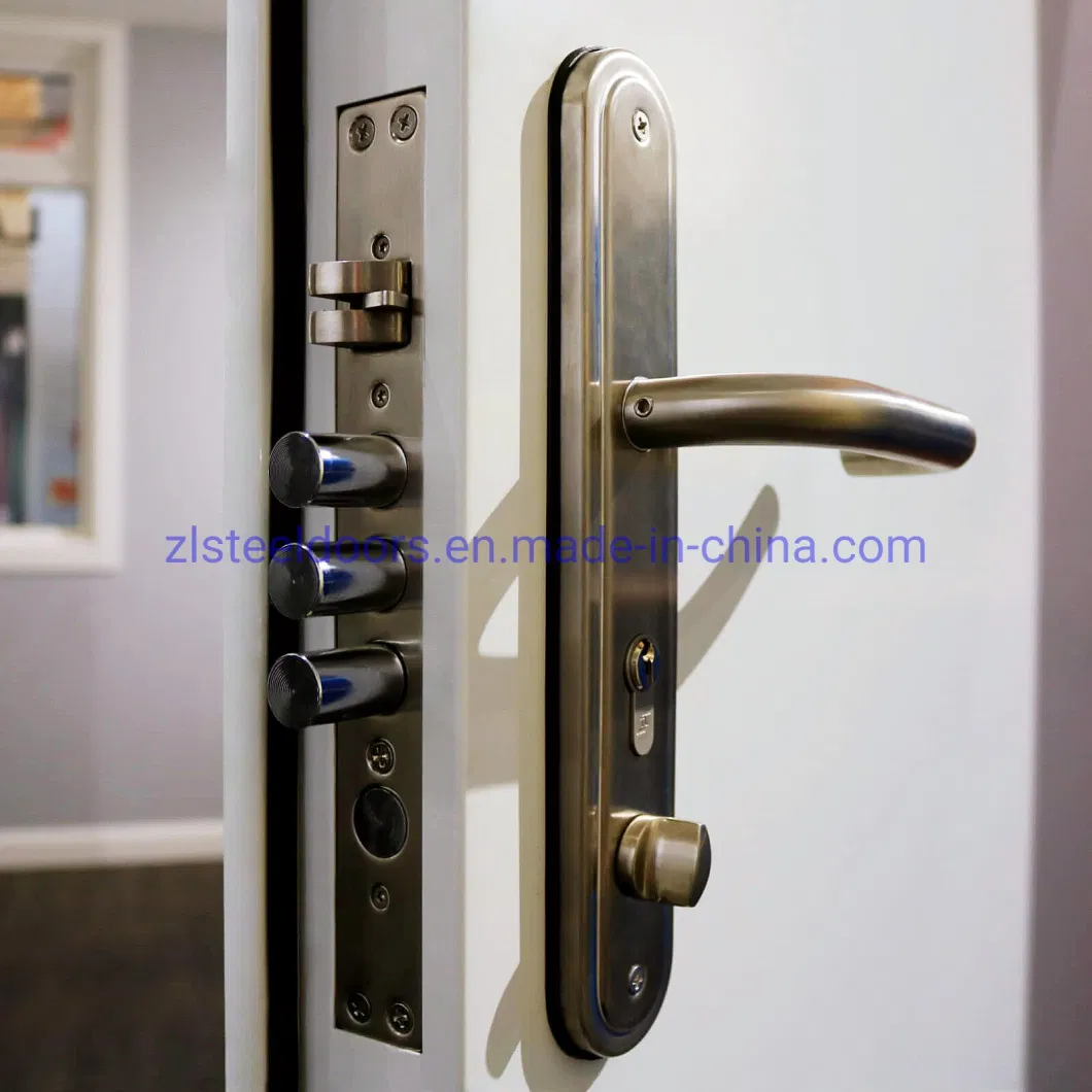 European Modern Style Heavy Duty Security Steel Front Doors Apartment Doors Swing Doors