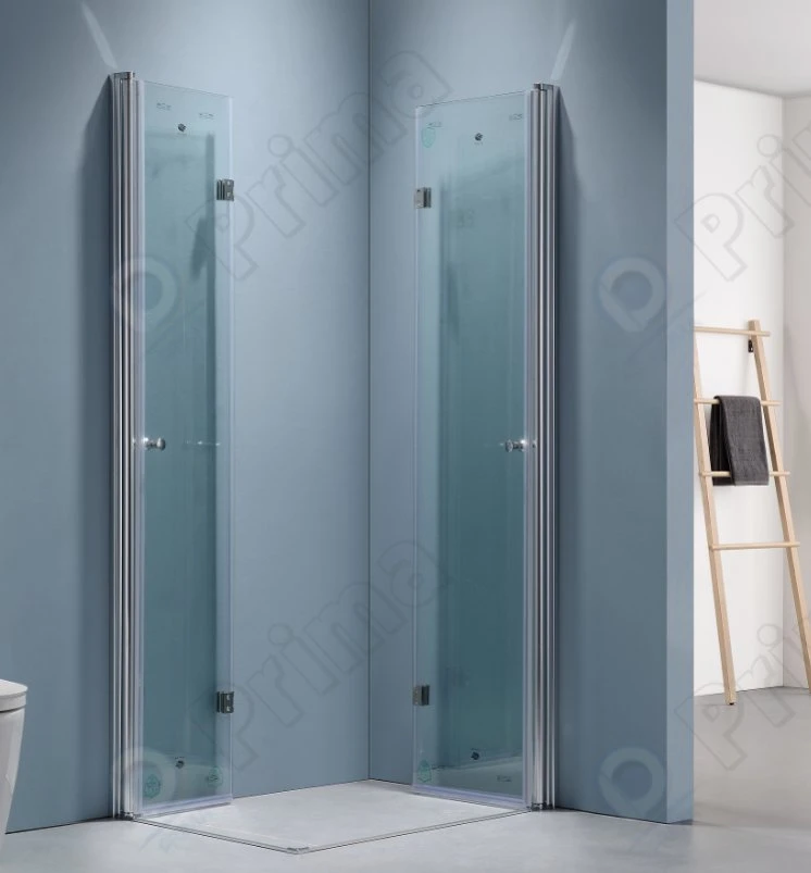 Prima New Looking Style Glass Bathroom Door