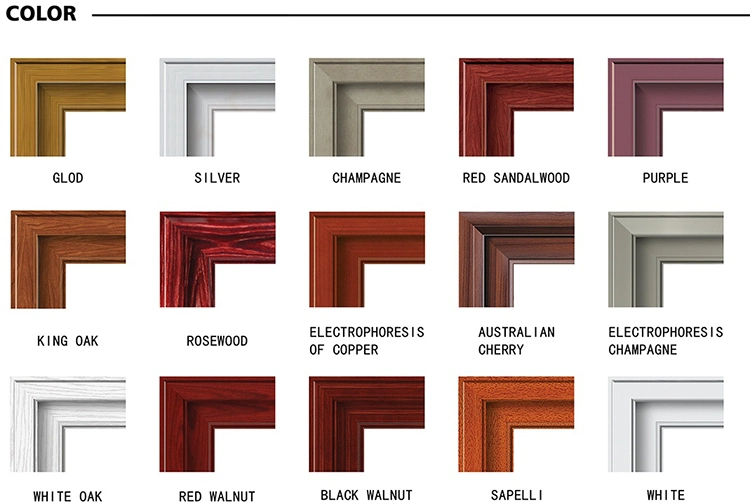 New Design Double Color Single Wooden Doors (SC-W045)