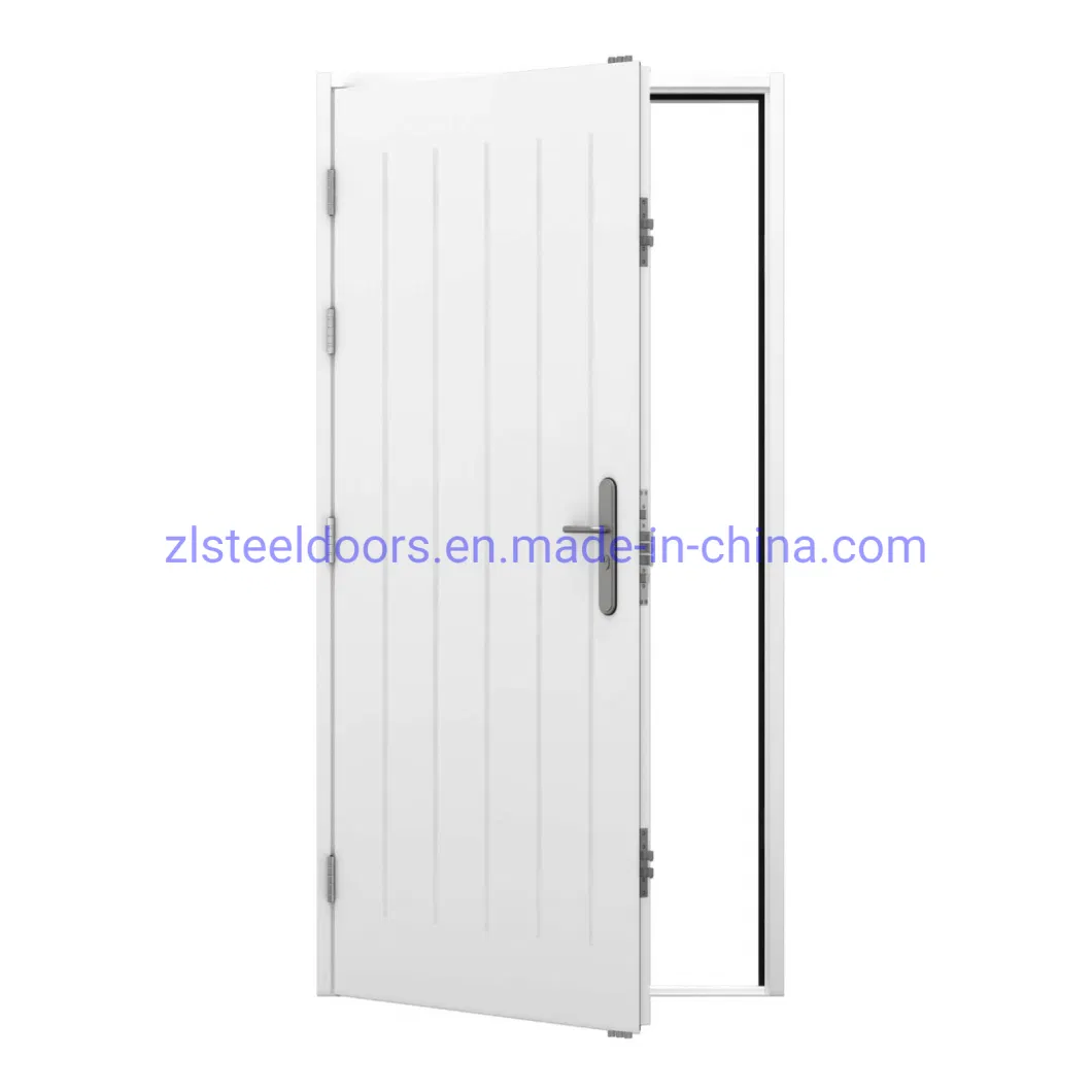 European Modern Style Heavy Duty Security Steel Front Doors Apartment Doors Swing Doors