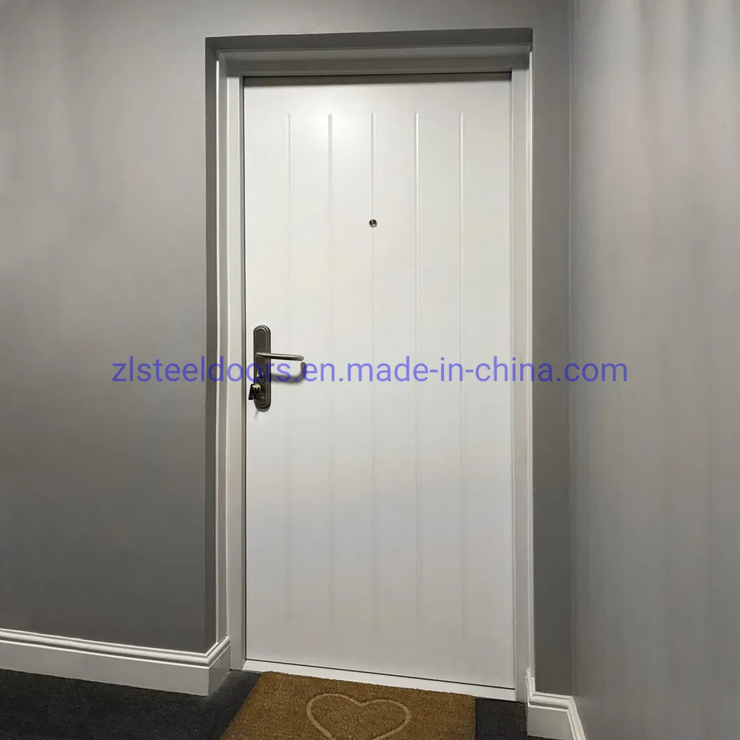 European Modern Style Heavy Duty Security Steel Front Doors Apartment Doors Swing Doors