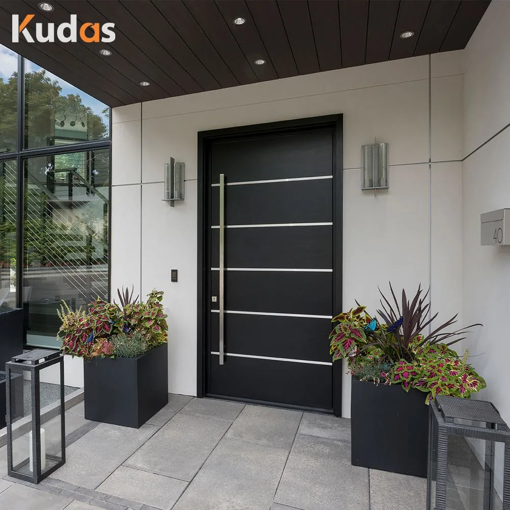 Entrance Exterior Security Front Pivot Doors Modern Entry Black Aluminum Pivot Wood Door