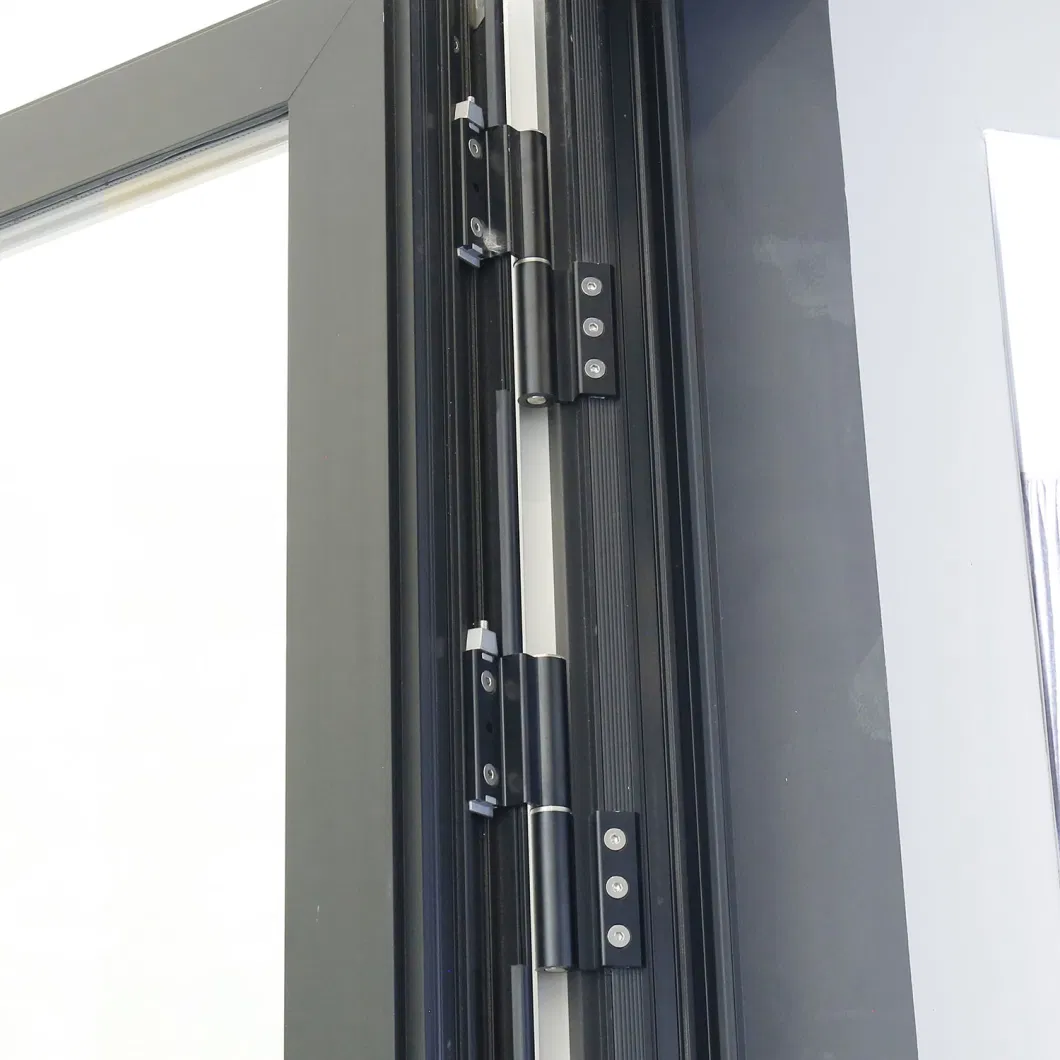 Sixinalu Aluminum Profile Tempered Glass Building Material Internal Custom High-Quality Casement Door