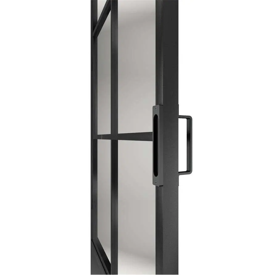 Metal Frame Swing Paneled Glass Door with Baseboard for Interior Use