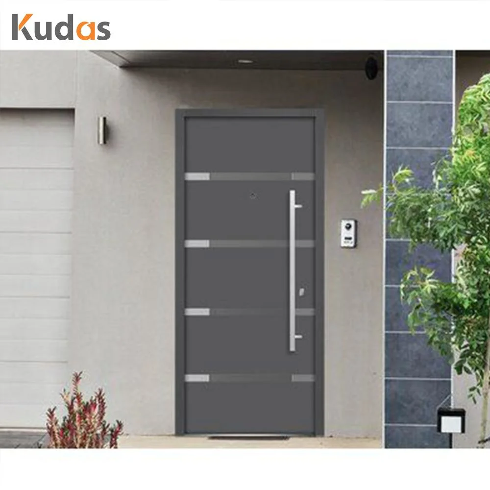 Security Exterior Main Entrance Stainless Steel Front Tempered Glass Pivot Doors