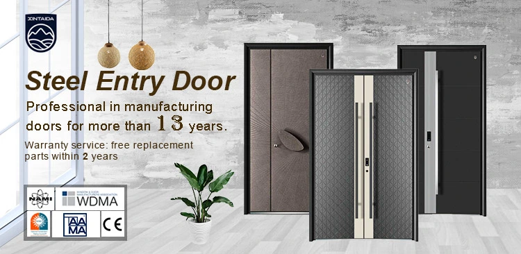 Designer Style Double Security Metal Front Galvanized Steel Doors