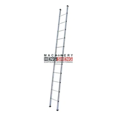 New Hot Sale High Quality Safety Pre-Galvanised Steel Ladder Galvanized Straight Steel Scaffolding Ladders