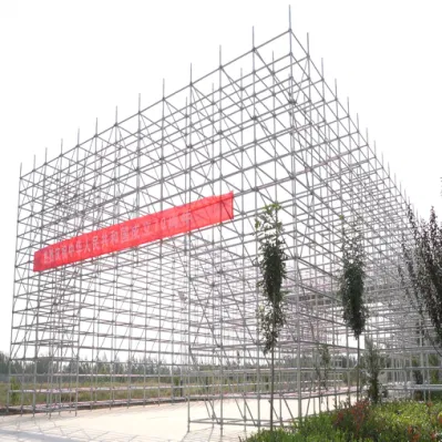 ANSI/Osha/AS/NZS/En12811/En39/En74/BS1139/En1065 Certified Scaffolding Equipment