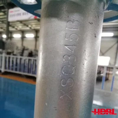 Steel Ringlock Types Scaffolding Standard Scaffolding for Construction