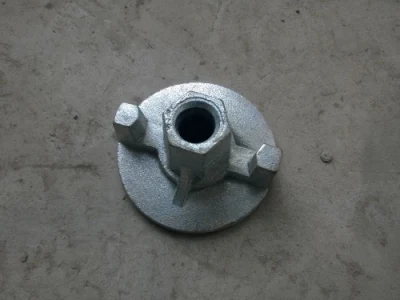 Anchor System Formwork Accessories with Competitive Factory Price