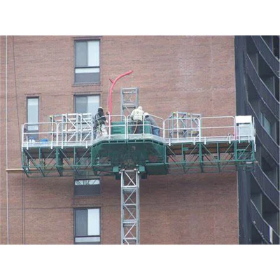  Mast Section Scaffolding Climbing Scaffold