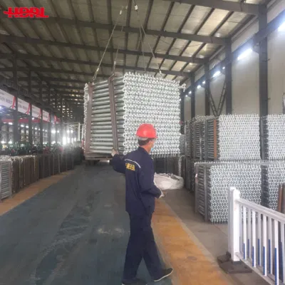 Steel Ringlock Types Scaffolding Standard Scaffolding for Construction