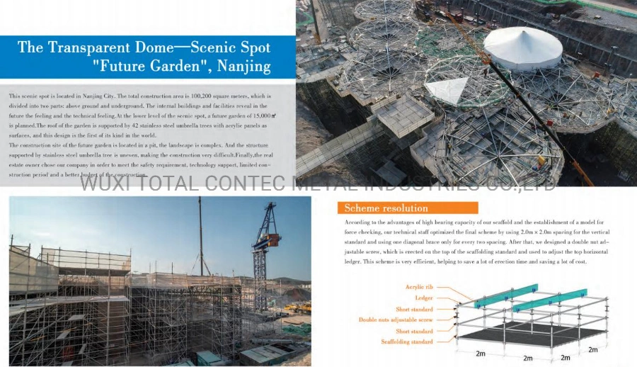 Airplane Shape Maintenance Modular Ringlock Shoring Scaffold in Future Garden Building Construction