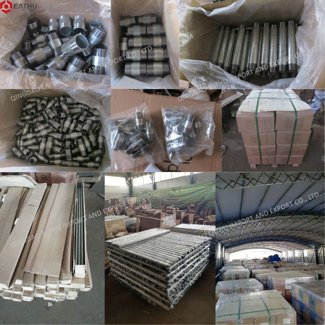 Factory Supply Hight Quality 150lbs Stainless Steel NPT BSPT Threaded Screwed Male Female Pipe Fitting