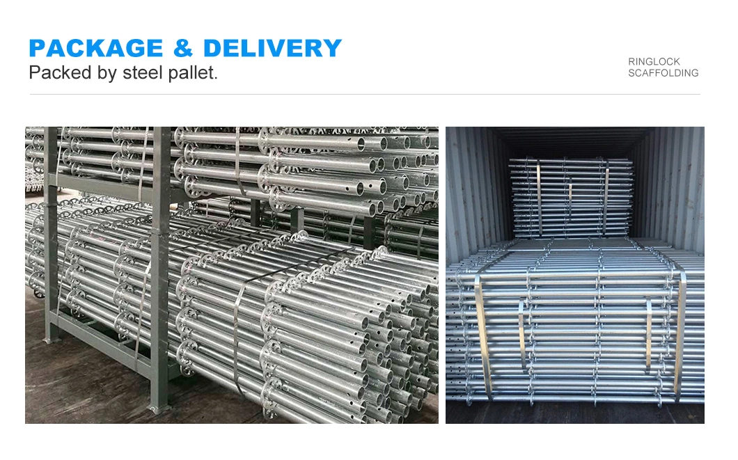 Export Metal Pre Galvanized Construction Scaffolding Plank/Stair /Coupler/Board Ringlock Scaffold From Building System Asian