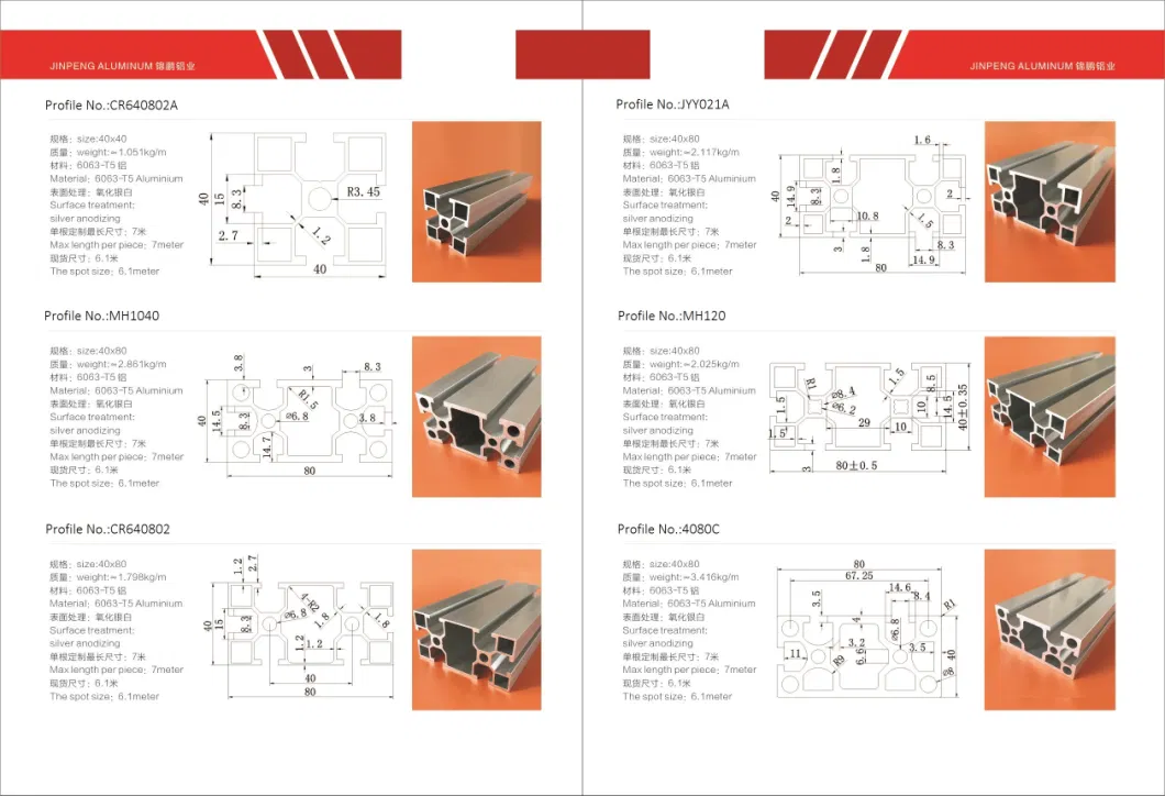 China Aluminium Extrusion Manufacturer for Aluminum Scaffolding Profiles