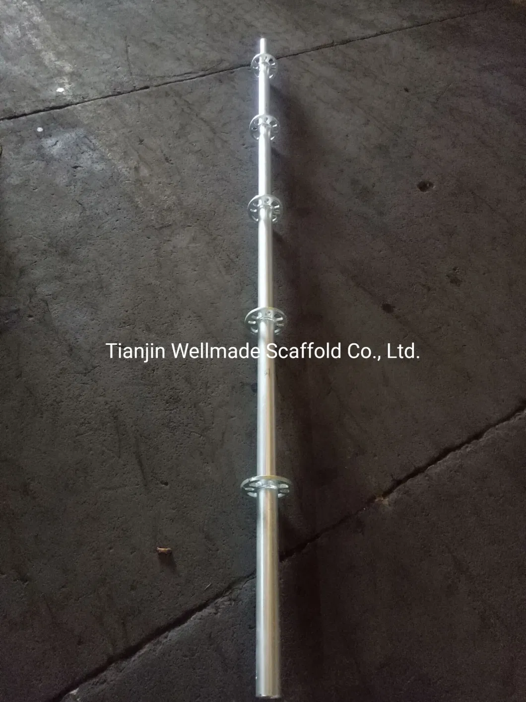 Ringlock Scaffolding Frame Poles Verticals Standards Construction Concrete Formwork Support