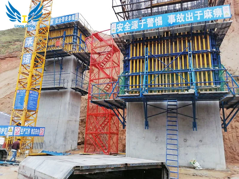 Climbing Formwork Online Technical Support China Scaffold Concrete Bridge