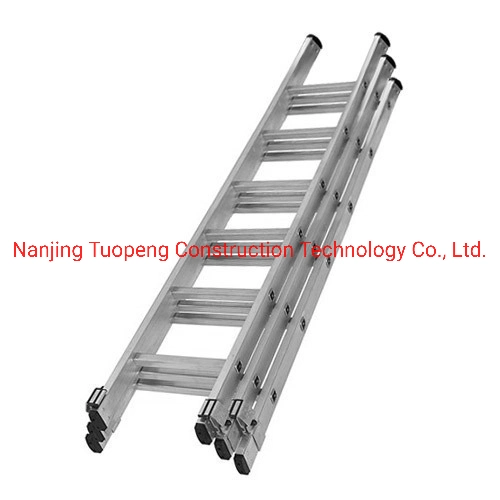 Ringlock/Frame/Cuplock Formwork Aluminum Ladder Scaffolding for Construction/Building Material