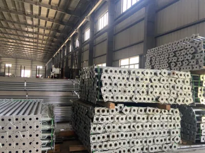 Impalcatura Gyt Builder con puntoni regolabili in metallo, spinotto in acciaio Andamios