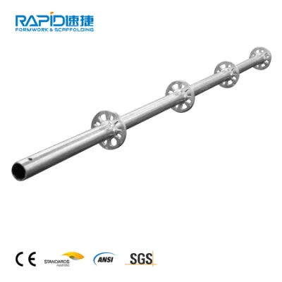 Disegni Design HDG acciaio Layher Ringlock impalcatura su cemento da costruzione Casseforme