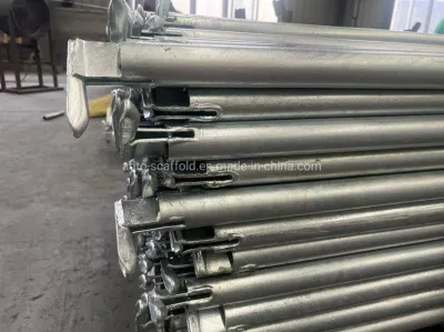 Materiale di costruzione acciaio competitivo di alta qualità sistema di cavalcate Trespolo impalcatura