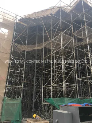 Ponteggio commerciale galvanizzato per facciate 48.3mm con 241mm Pian poll Progetto futuro Giardino