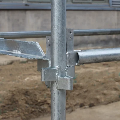  Profilati in acciaio QS da 4 mm; telaio con facciata DA 3,2 mm AS/NZS ponteggi standard