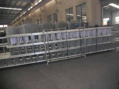 Ponteggi tondi in lenza zincati a caldo con ISO/SGS/CE/ANSI/AS NZS Certificati per la formwork