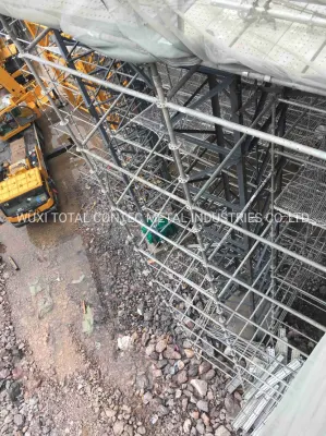 Ponteggio residenziale galvanizzato ottagonlock con pialline in futuro Progetto Guarden