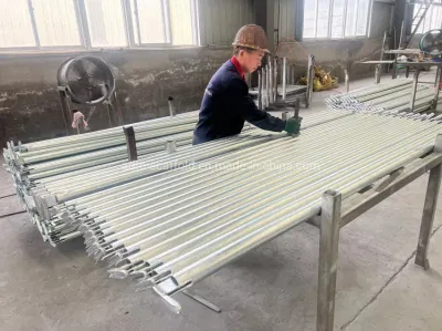 Materiale di costruzione acciaio competitivo di alta qualità sistema di cavalcate Trespolo impalcatura