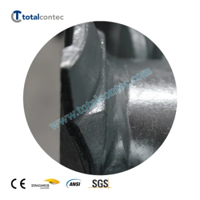  Cuplock Ringlock impalcature Ledger impalcatura orizzontale fornitore in vendita galvanizzato Struttura di alta qualità 11