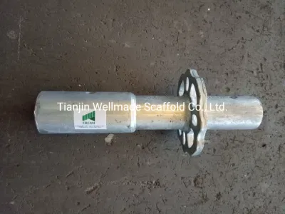 Ringlock System impalcatura base collare Starter Construction costruzione impalcatura industriale