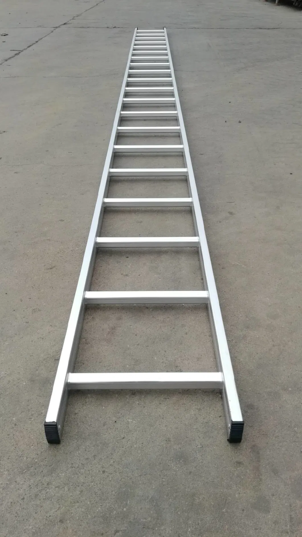 Steel/Aluminium Long Sliver H Ladder for Scaffolding Construction