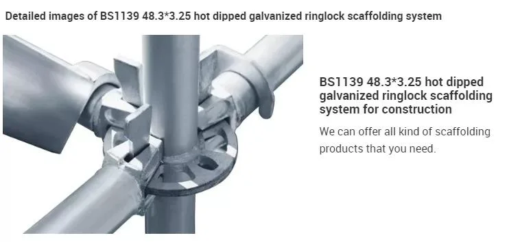 Adjustable Manufacturer Formwork Steel Prop Ringlock Scaffolding