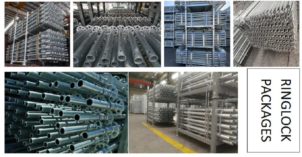 High Quality Building Material Steel Industrial Ringlock Scaffolding for Sales