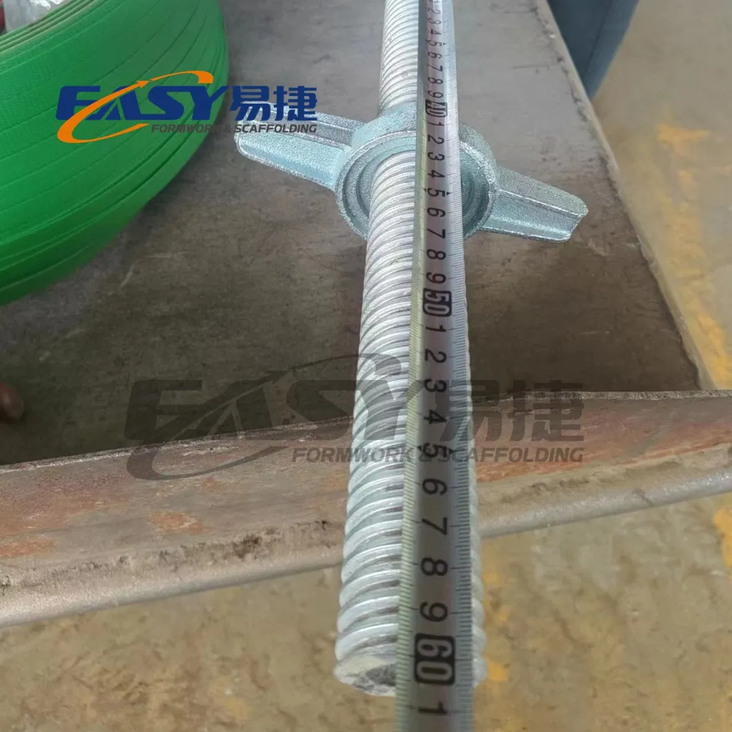 Easy Scaffold Galvanized Painted Ringlock Scaffolding Solod Hollow Screw Jack