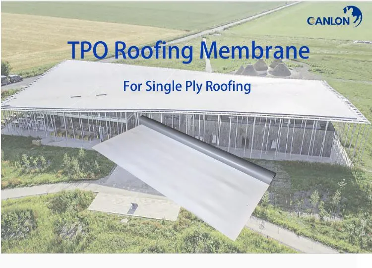 Roofing Membrane Tpo Waterproof Membrane CE FM Approved Waterproof Building Materials