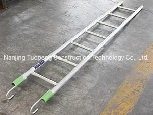 Hot DIP Galvanized Scaffolding Monkey Ladder Ringlock Scaffolding for Internal Access