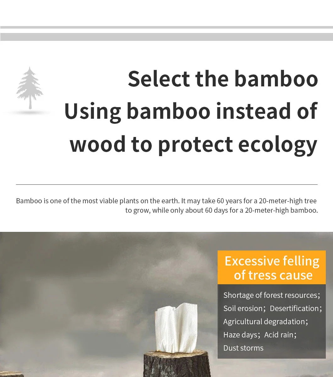 Bamboo Facial Paper/Towel, Super Safe Biodegradable Bath Tissue/Towel, Eco Friendly Soft