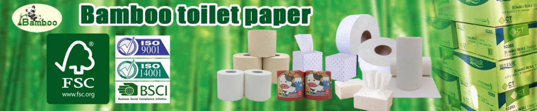 Hot Sale China Bamboo Manufacture Best Biodegradable Toilet Paper Coreless Roll